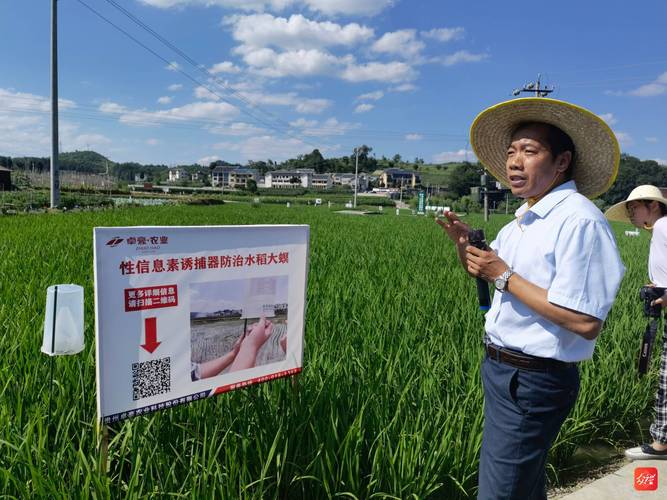以虫治虫以草抑草 贵州举行主要粮食及重要经济作物病虫害绿色防控