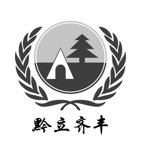 贵州齐丰科技